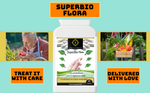 SuperBio Flora - Probiotic Digestive Wellness, Gut Health, Cleanse & Detox, Immunity Online Shop Food Supplement Home Delivery