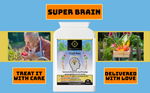 Super Brain Supplement for Focus, Memory & Energy Online Shop Home Delivery