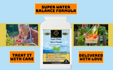 Super Water Balance Formula - Electrolyte & Fluid Balance - Vegan Supplement Online Shop Home Delivery