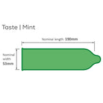 Pasante Mint Flavoured Bulk Pack of 144