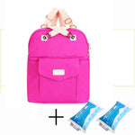 Fashion Breast Milk Cooler Bag with Ice Packs/Boxes