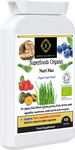 Superfoods Organic Nutri Max MSFO/SB